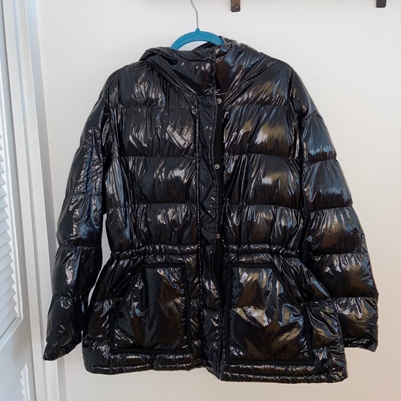 gap shiny puffer